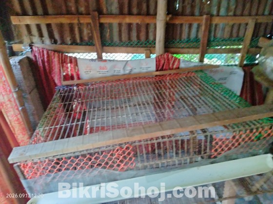 কোয়েল মুরগি কবুতরের খাচা